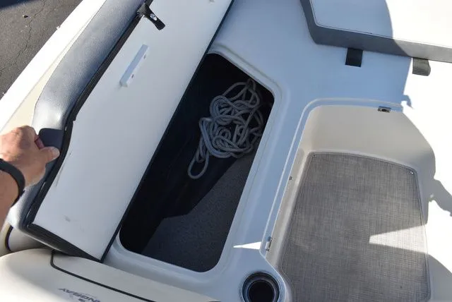 Slide: The Image of Stingray 191 DC 2024 - 43