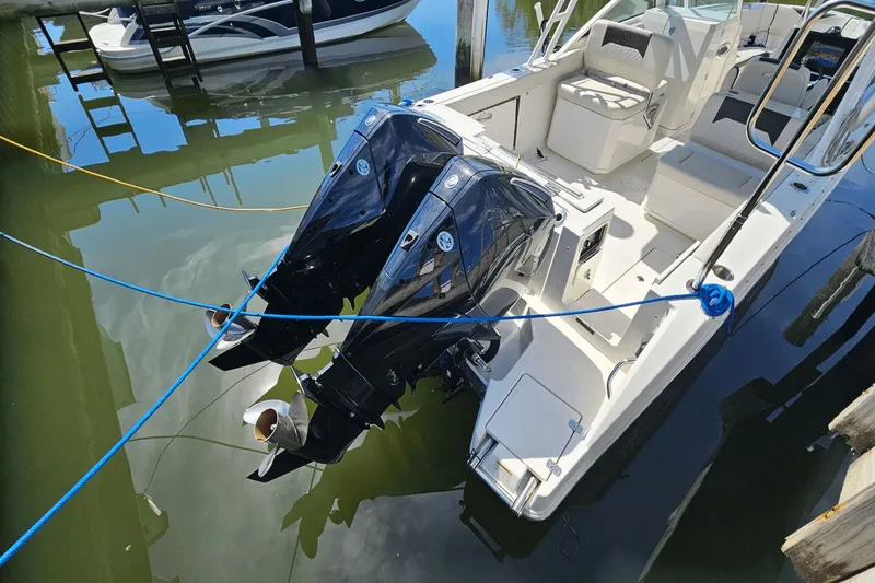 Slide: The Image of Sailfish 276 DC 2023 - 3
