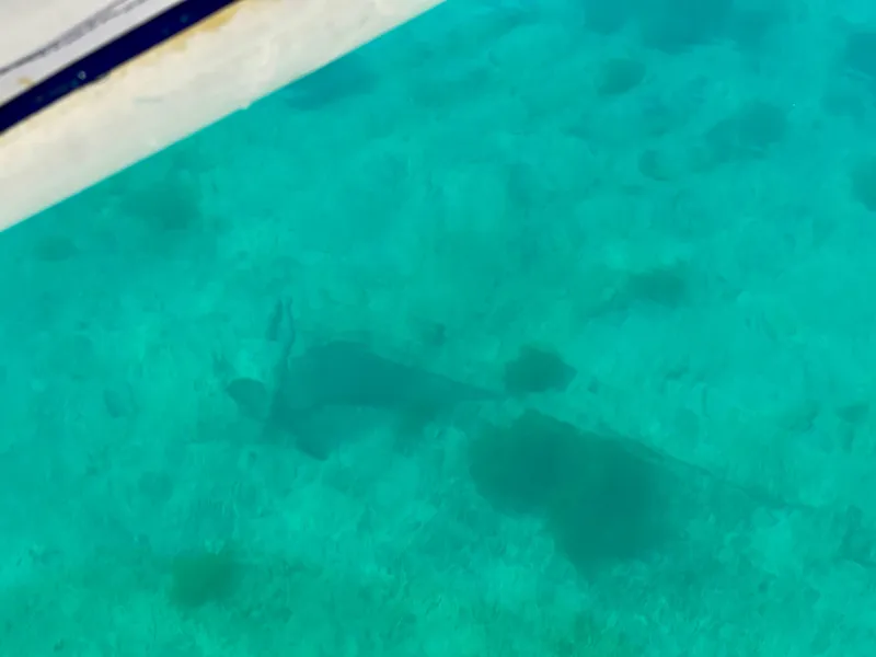 Slide: The Image of Clear turquoise water with submerged Aleutian 51 boat, 1977 model. - 24