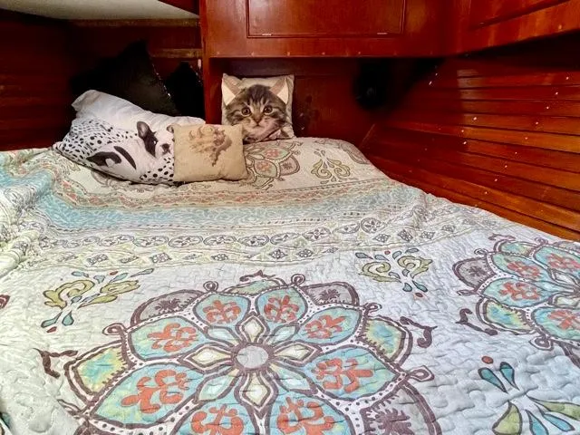 Slide: The Image of Cozy cabin bed in 1977 Aleutian 51 yacht with patterned quilt and cat-themed pillows. - 44