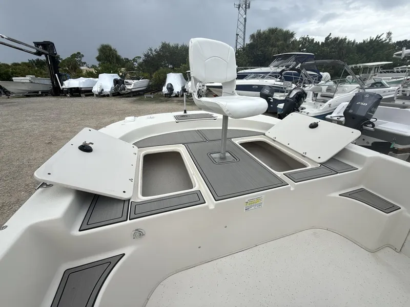 Slide: The Image of Carolina 218 DLV 2014 - 20