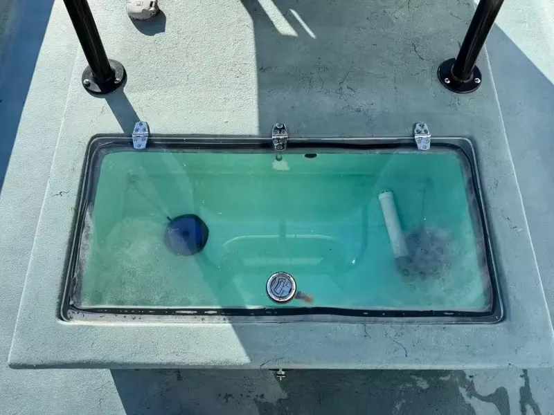 Slide: The Image of Shoalwater 23 Cat 2021 - 11