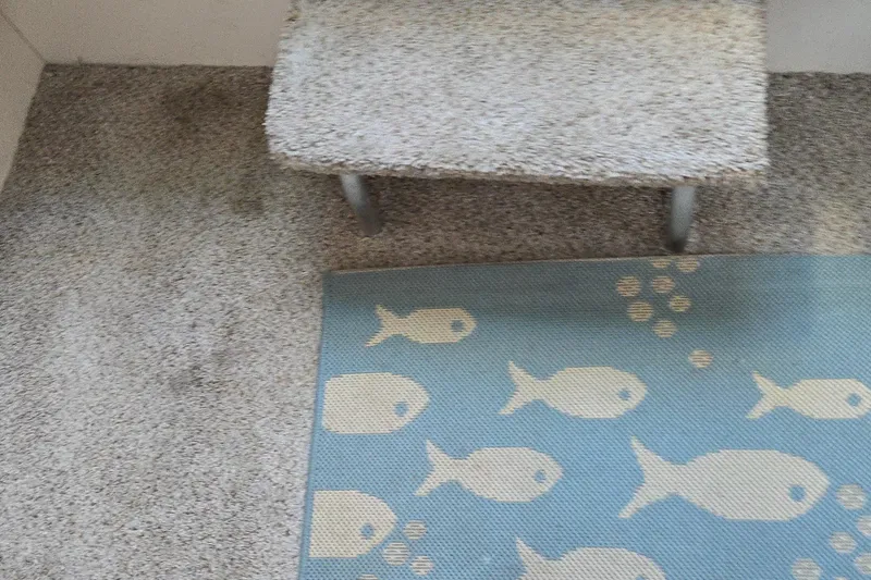 Slide: The Image of 1991 Mainship 35 Open Bridge interior with fish-patterned rug and carpeted step. - 29