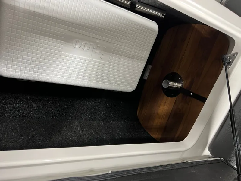 Slide: The Image of Regal LS4 2023 - 8