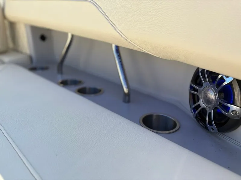 Slide: The Image of Regal LS6 2019 - 31