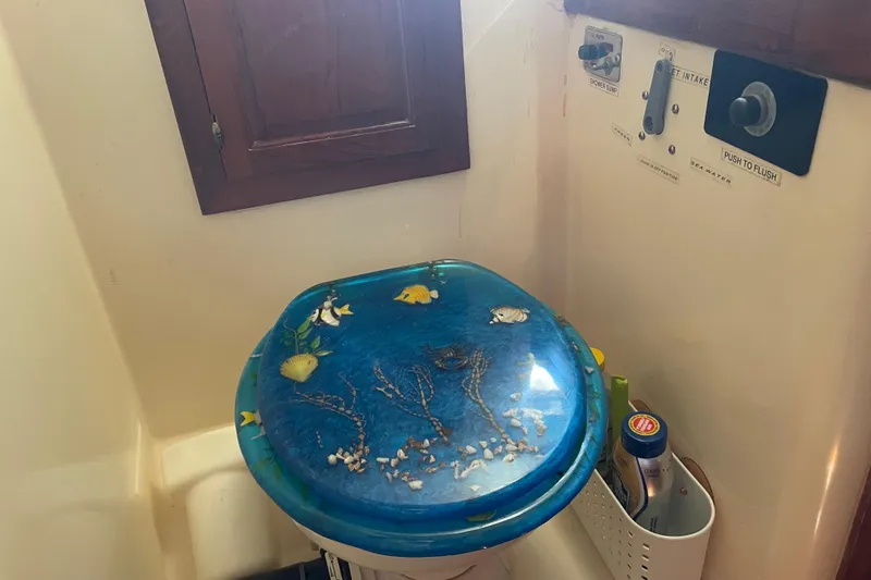 Slide: The Image of Marine-themed toilet seat in a 1981 Mariner 48 boat bathroom. - 29