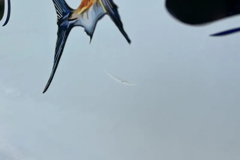 Slide: The Image of Close-up of a 2021 Sea Hunt Gamefish 25 boat graphic featuring a marlin design. - 23