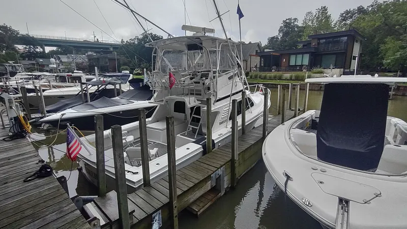 Slide: The Image of Blackfin 33 2000 - 8