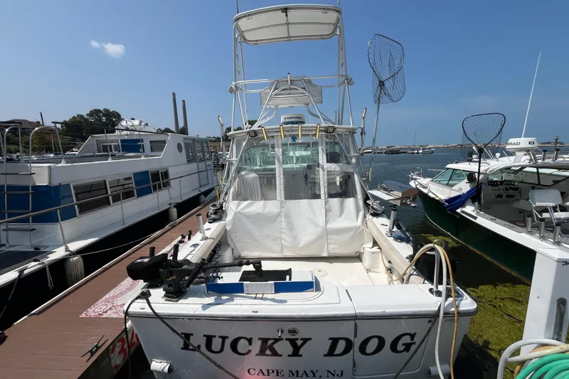 Slide: The Image of 2001 Rampage Express 30 Open boat docked, named "Lucky Dog," in Cape May, NJ marina. - 3