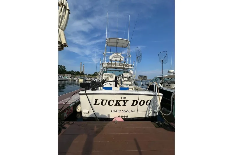 Slide: The Image of 2001 Rampage Express 30 Open boat named "Lucky Dog" docked in Cape May, NJ. - 68