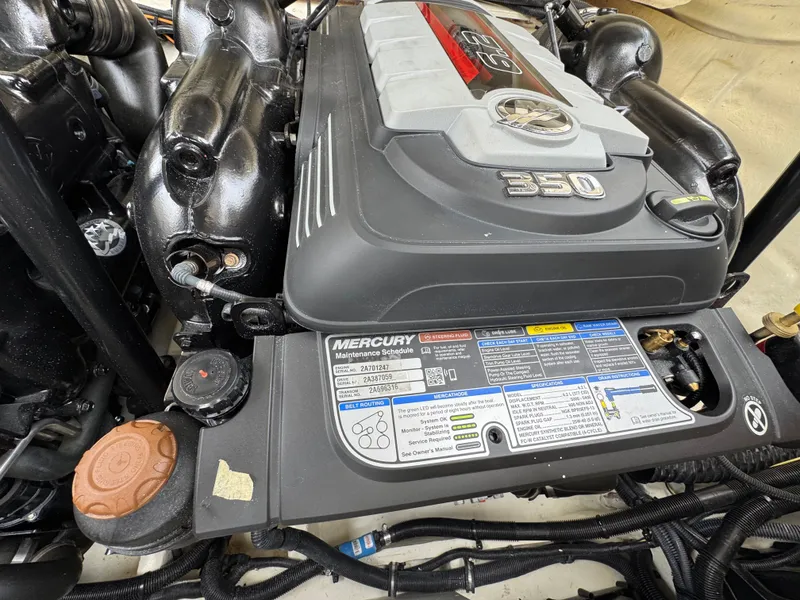 Slide: The Image of Sea Ray SLX 310 2022 - 103