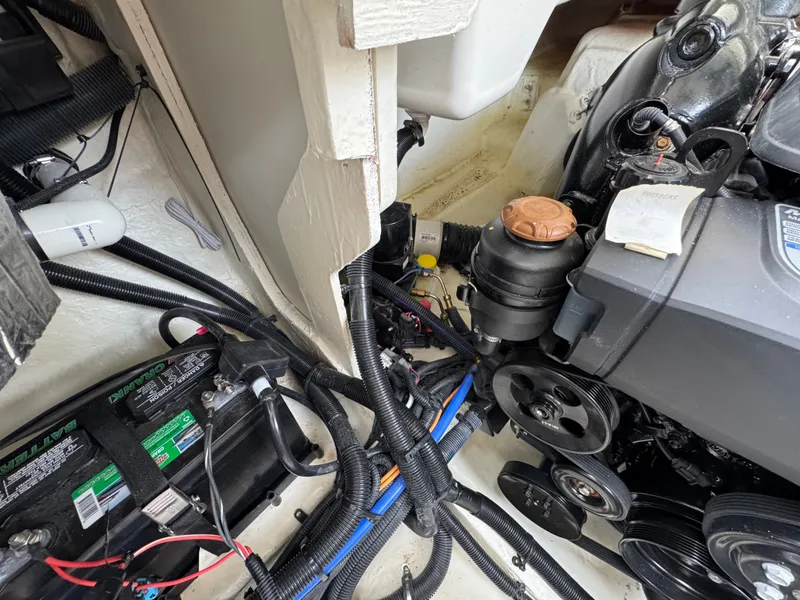 Slide: The Image of Sea Ray SLX 310 2022 - 99