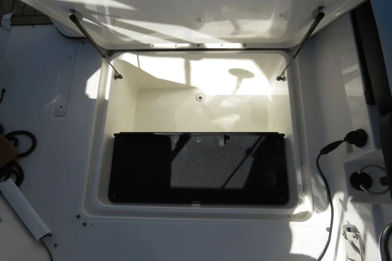 Slide: The Image of Sea Ray SDX 250 Outboard 2019 - 25