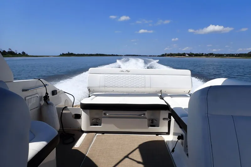 Slide: The Image of Sea Ray SDX 250 Outboard 2019 - 9