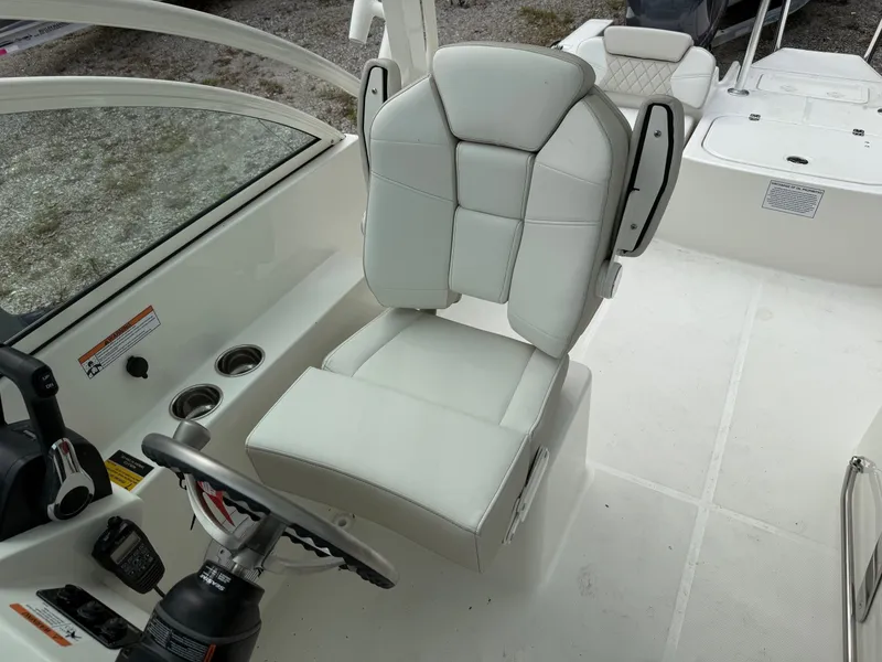 Slide: The Image of World Cat 230 DC 2025 - 12