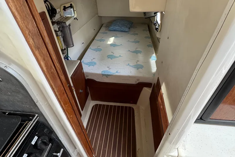 Slide: The Image of 2008 Gemini 105Mc cabin interior with bed, wooden accents, and nautical-themed bedding. - 20