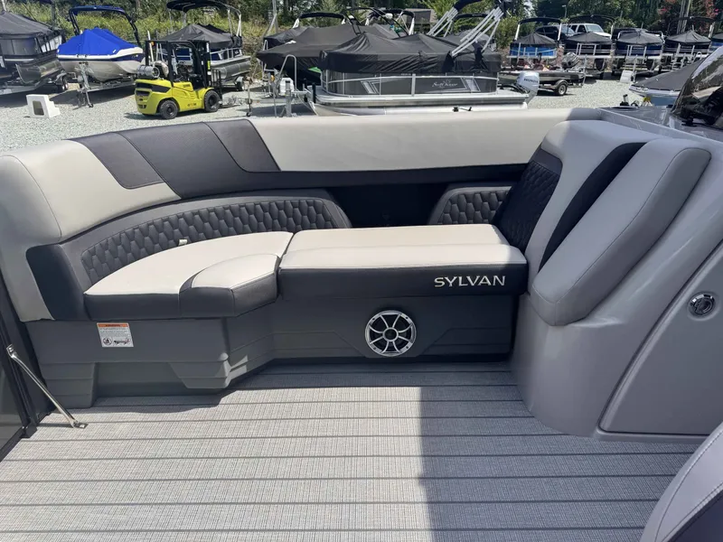 Slide: The Image of Sylvan L3 DLZ 2025 - 5