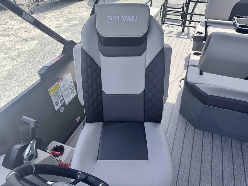 Slide: The Image of Sylvan L3 DLZ 2025 - 9