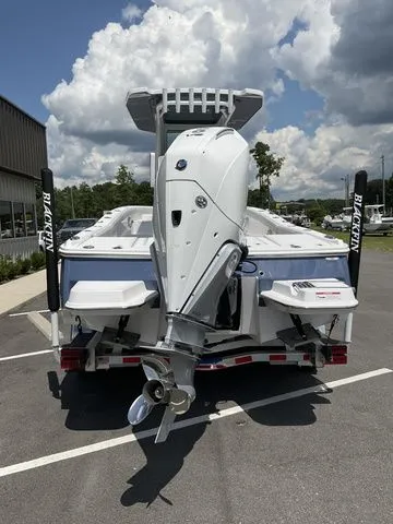 Slide: The Image of Blackfin 242 HB 2026 - 19