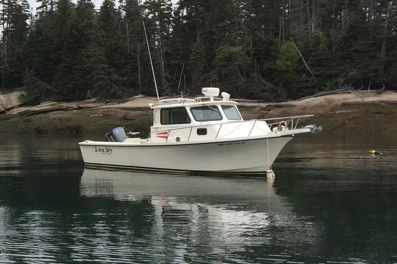 The Image of 2001 Parker 2520 DVSC boat anchored in calm waters near a forested shoreline. - 0