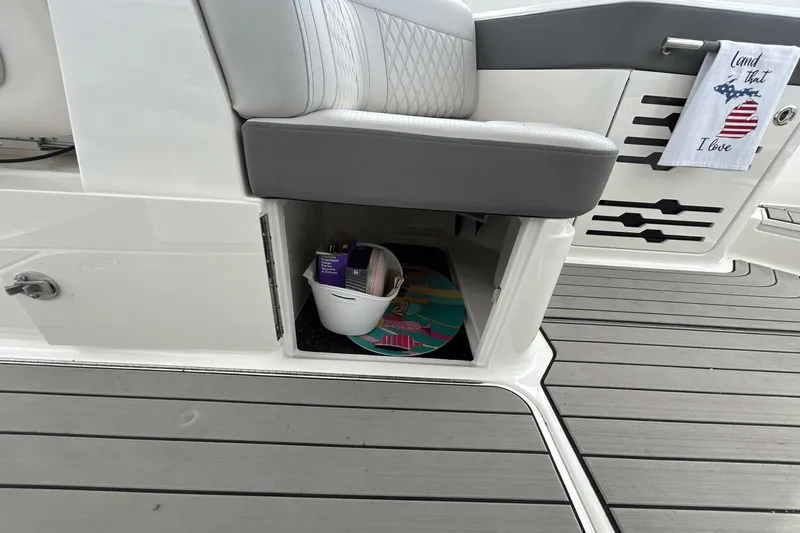 Slide: The Image of Sea Ray SLX 310 2025 - 54