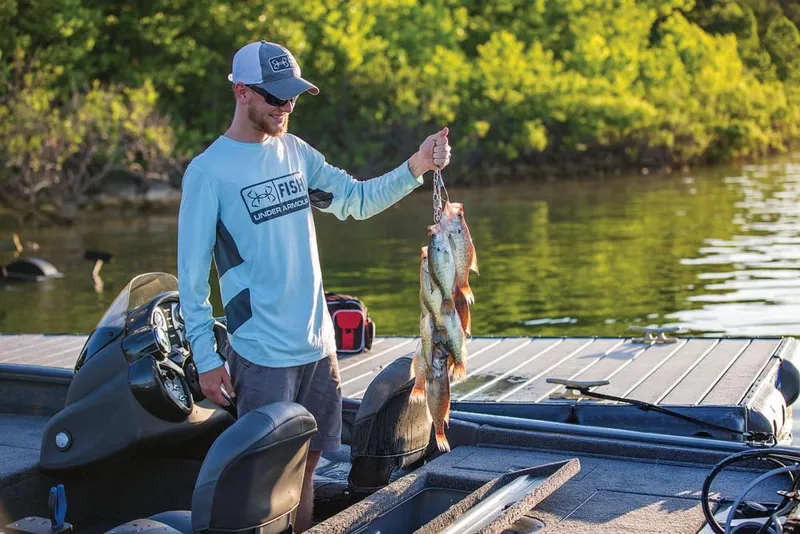 Slide: The Image of Manufacturer Provided Image - 70