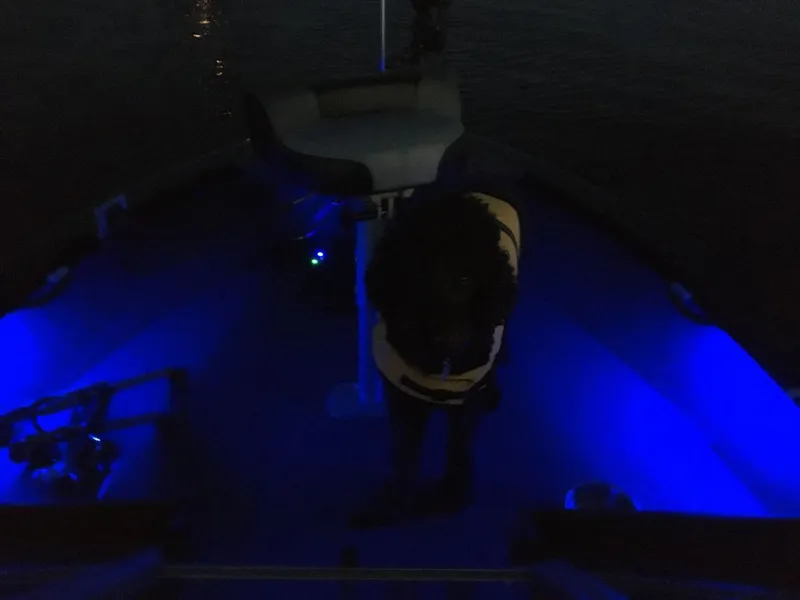 Slide: The Image of Crestliner 1750 Super Hawk 2020 - 13