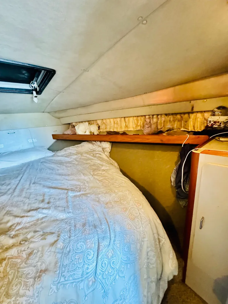 Slide: The Image of Luhrs Tournament 342 1993 - 30