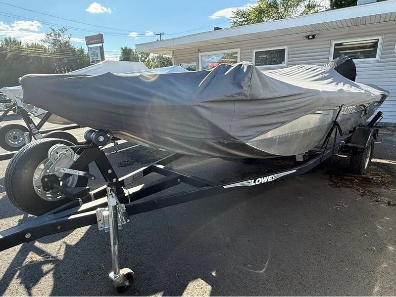 Slide: The Image of Lowe Stryker 16 2018 - 12