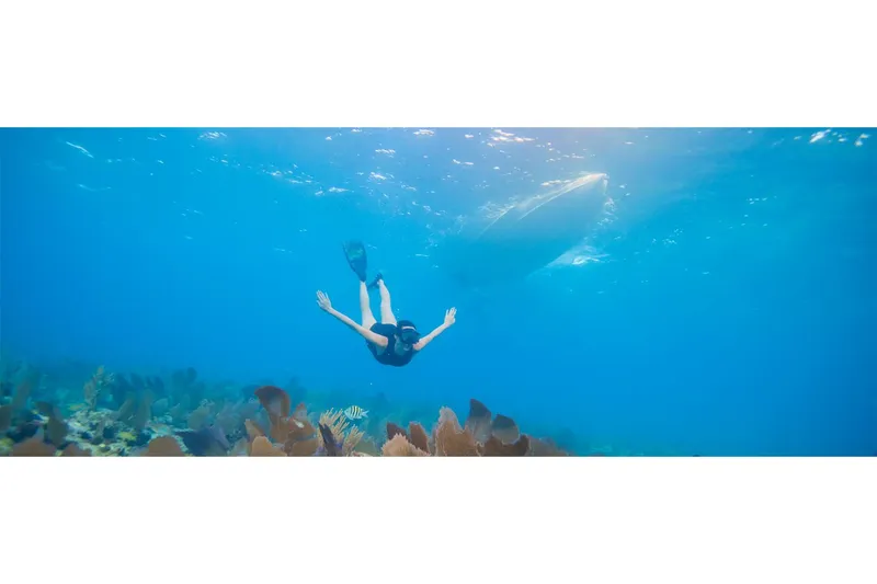 Slide: The Image of Yamaha 252S 2025 - 10