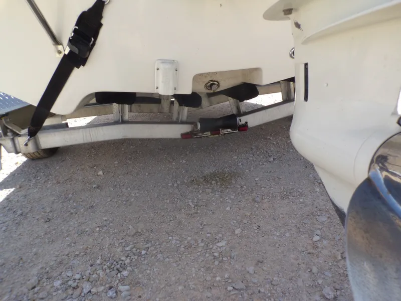 Slide: The Image of Carolina 19 LS 2020 - 10