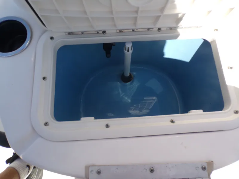 Slide: The Image of Carolina 19 LS 2020 - 14