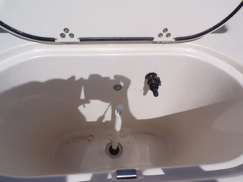 Slide: The Image of Carolina 19 LS 2020 - 21