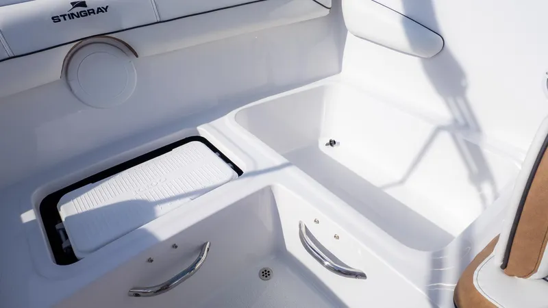 Slide: The Image of Stingray 172 DC 2026 - 10