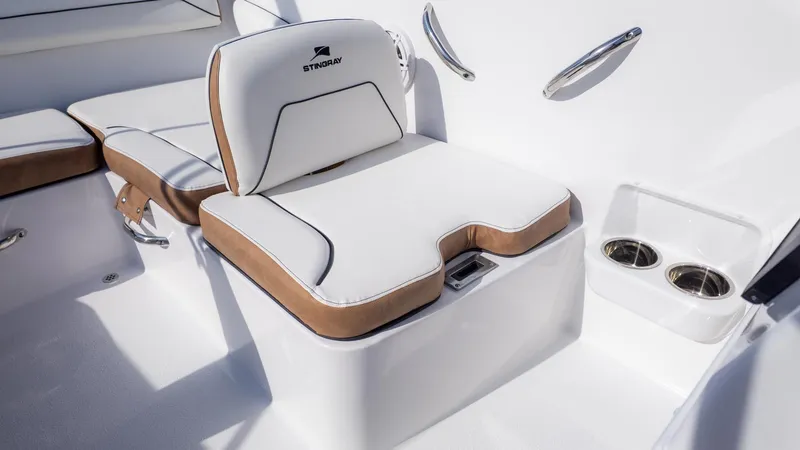 Slide: The Image of Stingray 172 DC 2026 - 11