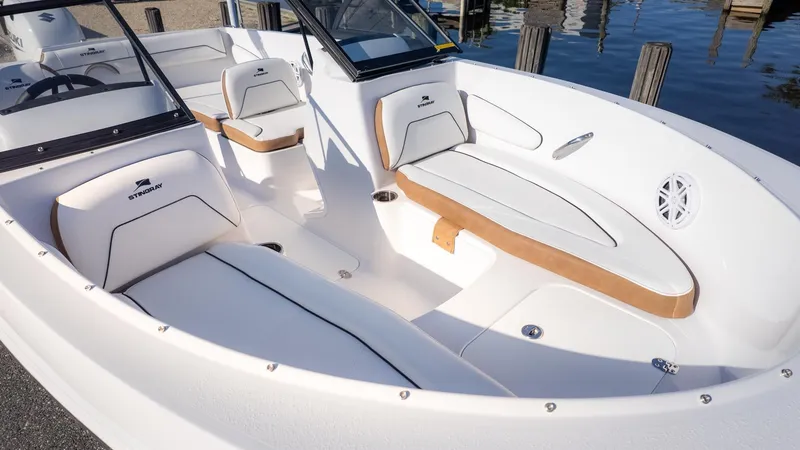 Slide: The Image of Stingray 172 DC 2026 - 14