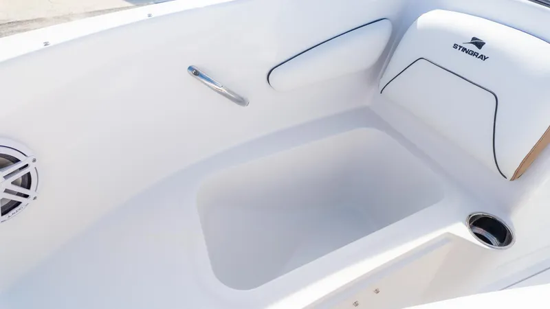 Slide: The Image of Stingray 172 DC 2026 - 16