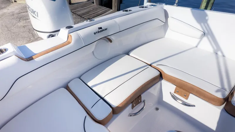 Slide: The Image of Stingray 172 DC 2026 - 7