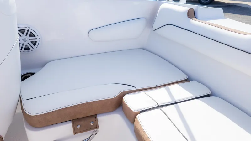 Slide: The Image of Stingray 172 DC 2026 - 8