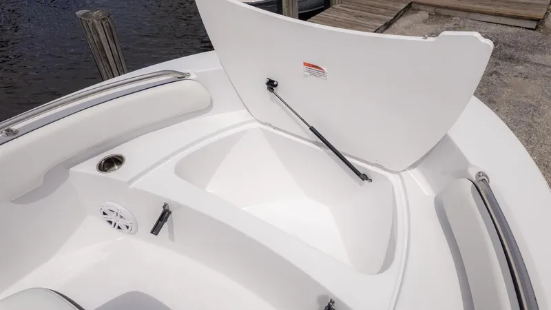 Slide: The Image of Stingray 173 CC 2026 - 13