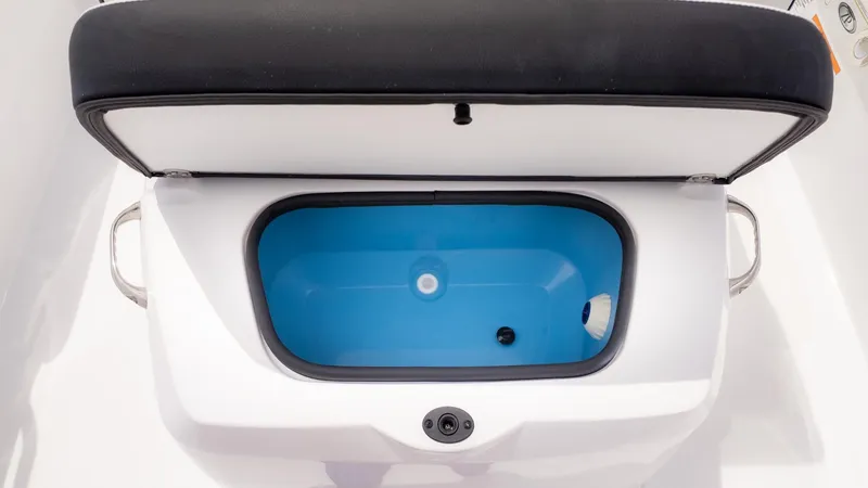 Slide: The Image of Stingray 173 CC 2026 - 16