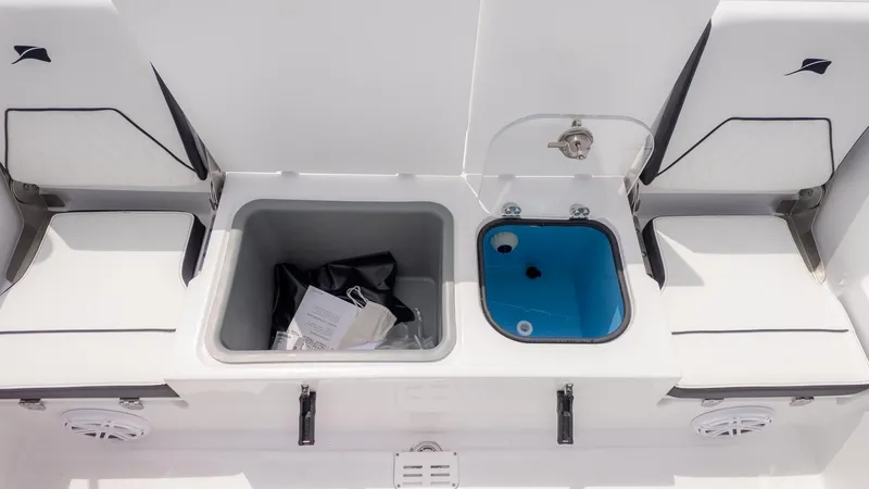 Slide: The Image of Stingray 173 CC 2026 - 5