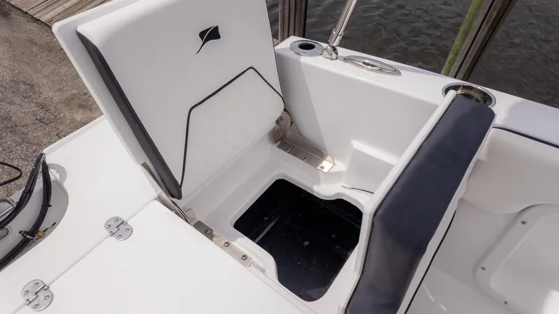 Slide: The Image of Stingray 173 CC 2026 - 6