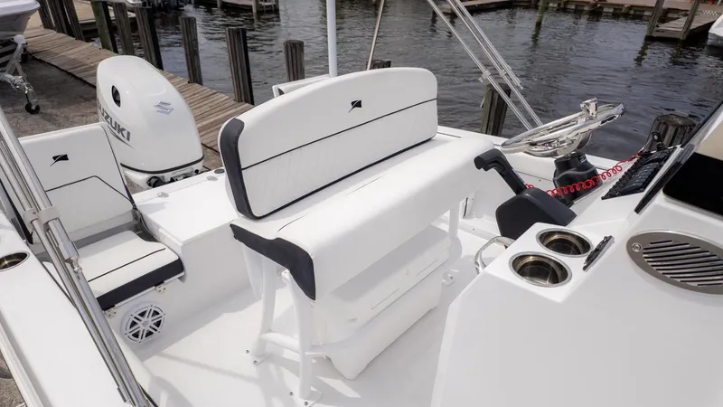 Slide: The Image of Stingray 173 CC 2026 - 7