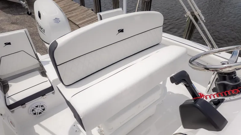 Slide: The Image of Stingray 173 CC 2026 - 9