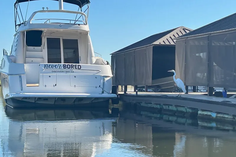 Slide: The Image of 2002 Regal Commodore 3880 yacht docked with a heron nearby, Discovery Bay, CA. - 4