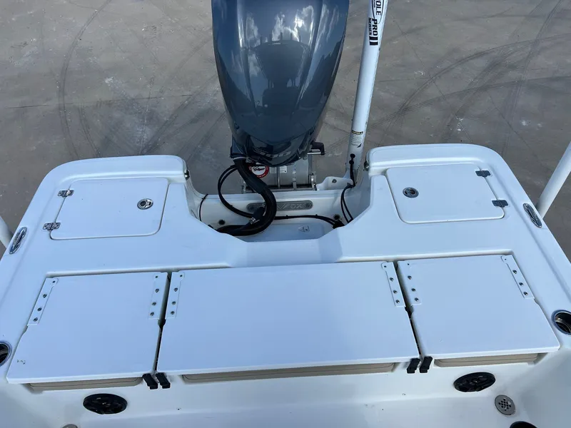 Slide: The Image of Sea Fox 240 Viper 2018 - 35