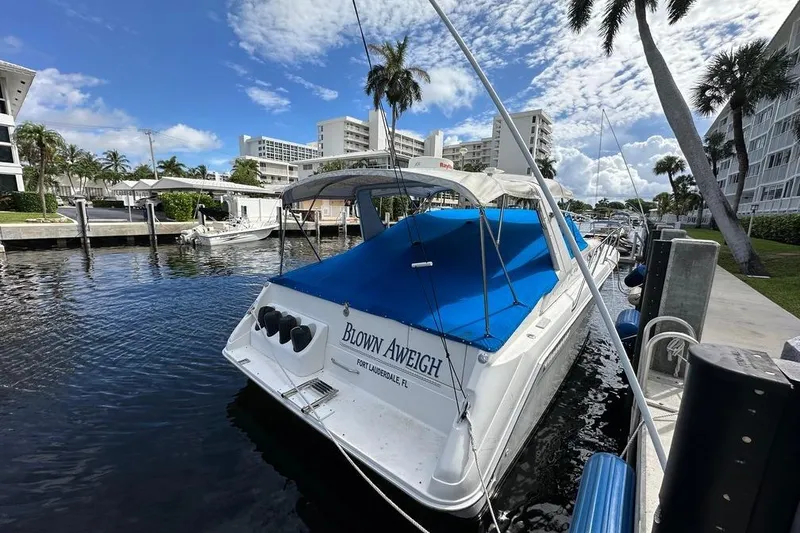 Slide: The Image of 1994 Sea Ray 370 Express Cruiser docked, blue cover, palm trees, and buildings in background. - 33