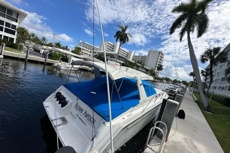 Slide: The Image of 1994 Sea Ray 370 Express Cruiser docked in a sunny marina with palm trees. - 34