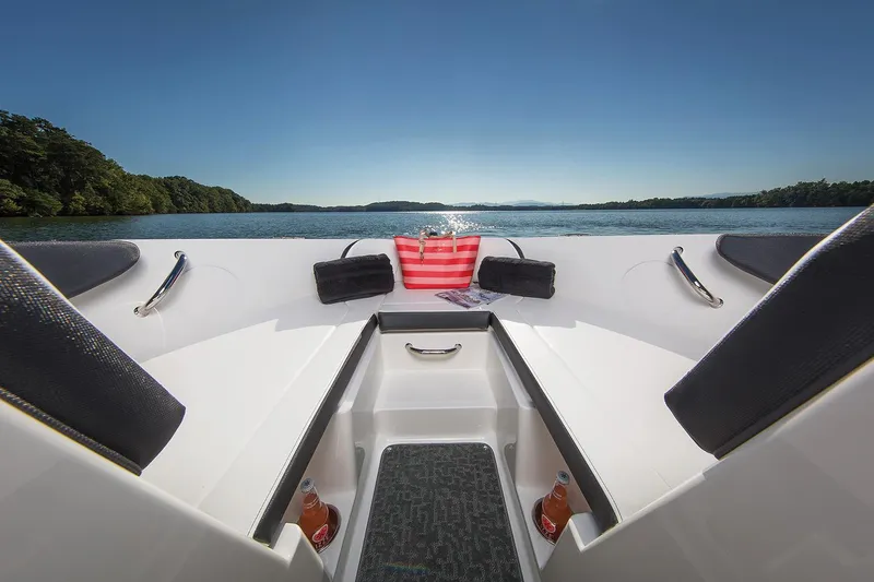 Slide: The Image of Manufacturer Provided Image: 2018 Sea Ray SPX 190 boat interior with lake view. - 5